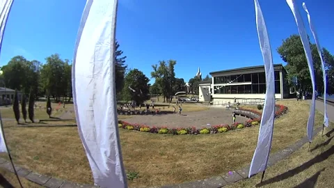 Flags in the wind Stock Footage 166468225