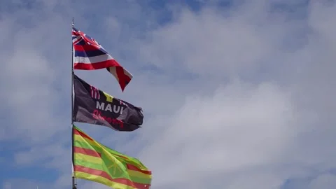 Flags in wind Memorial Lahaina, Maui, Hawaii, Wildfire Burn Zone Video stock 305127638