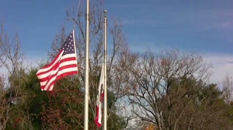 Flags On Windy Day Stock Footage 1034549