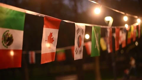 Flags of world country fluttering in wind on background of lanterns in night. Stock Footage 221973830