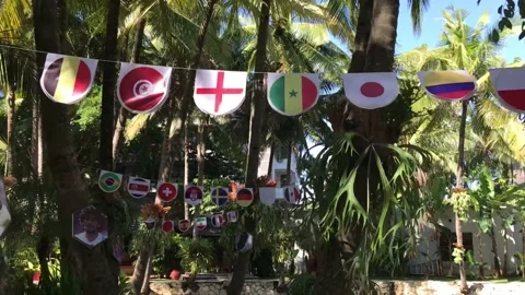 Flags, world cup vibes, 4K Stock Footage 222704517