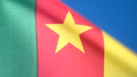 Flags of the world, flag of Cameroon on blue screen Stock Footage 327340774