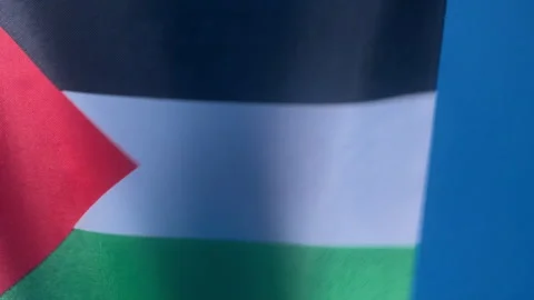 Flags of the world, flag of Palestine on blue screen Vídeo Stock 327339875