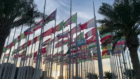 Flags of the World fluttering in the wind Stock Footage 264165186