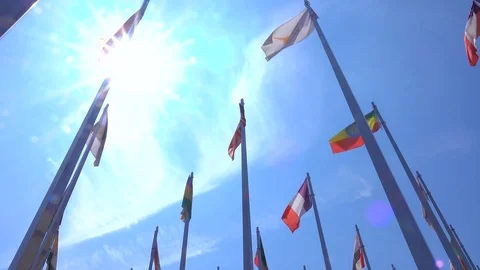 Flags of the world Stock Footage 78146234