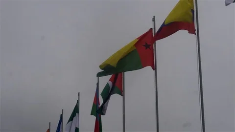 Flags of the world Stock Footage 82119237