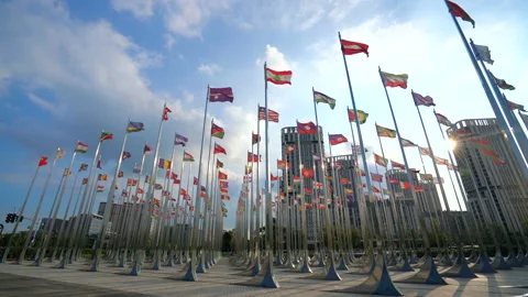 Flags of the world 库存影片 99848169