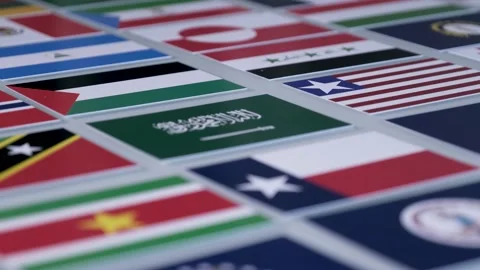 Flags of the World 動画素材 209947331