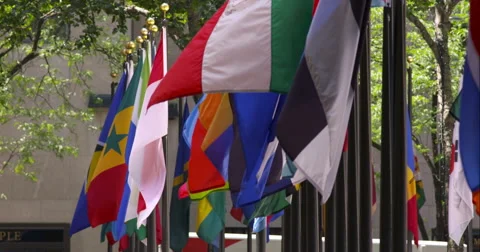 Flags of the world slowly flap in the breeze on a New York City summer day. Stock Footage 67244060