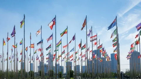 Flags of the world,time lapse Video stock 77993214