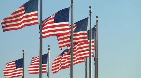 Flags229 Video stock 923580