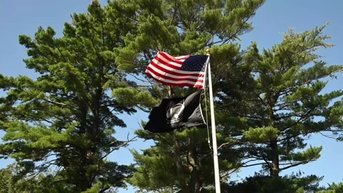 FlagsInWind 動画素材 253129632