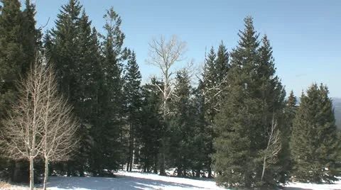 Flagstaff2 Stock Footage 11250244