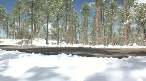 Flagstaff5 Stock Footage 11257890