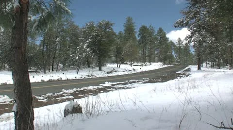 Flagstaff7 Stock Footage 11257887