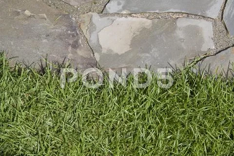 Flagstone grass edge Stock Photos