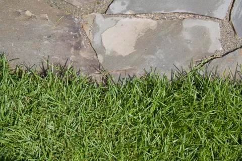 Flagstone grass edge Stock Photos