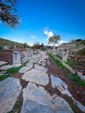 Flagstone Path Stretches Between Marble Columns on Terraced Ruins 스톡 사진