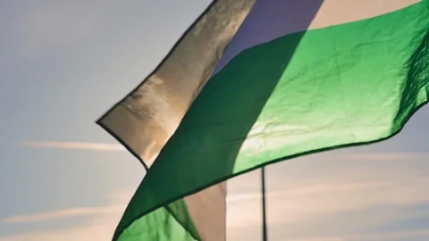 Flagsunsky Stock Footage 256579907