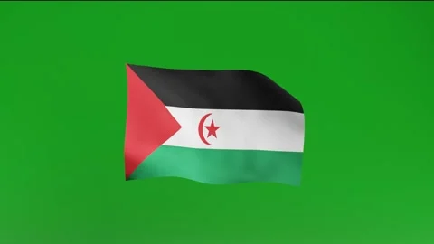 Flah of Sahara Stock Footage 162025663