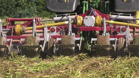 Flailing Potatoes Stock Footage 140452228