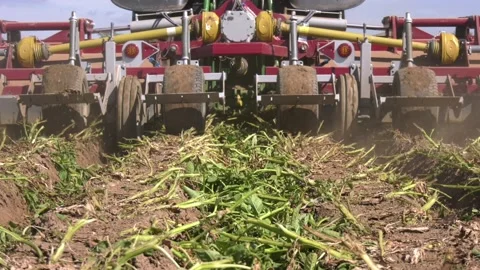 Flailing Potatoes 스톡 동영상 140452232