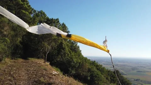 Flake moved by the wind 動画素材 137961592