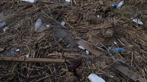 Flakes, bottles and garbage on the coast of the Black Sea Stock Footage 244723773