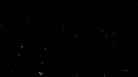 Flakes Slow Flat 4 Fast Vidéo 347535502