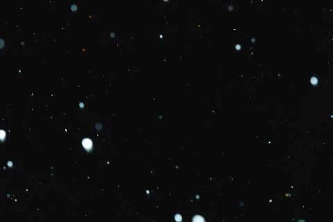 Flakes of snow falling on a black background. Isolated Stock Photos
