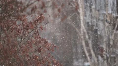 Flakes of snow falling down winter landscape Stock Footage 225524865