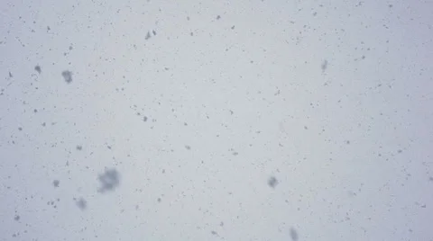 The flakes of snow from grey sky Stock Footage 48261024
