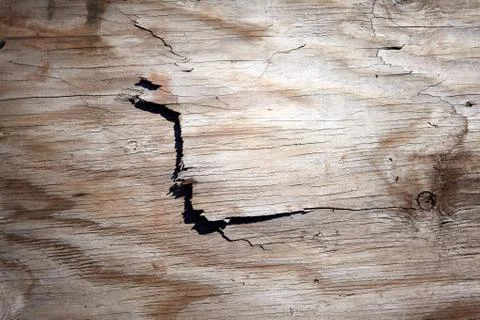 Flaking cracked surface of old weathered wood Stock Photos