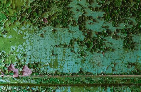 Flaking green paint texture Photos