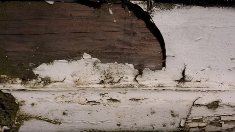 Flaking paint on wood abstract background UK 4K Stock Footage 106531878