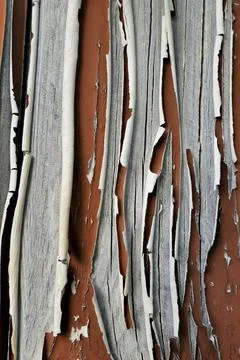 Flaky Paint. Stock Photos