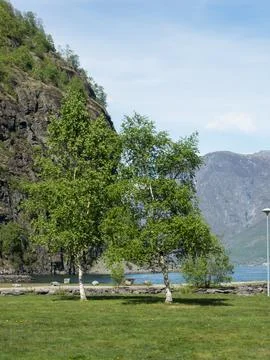 Flam in the norwegian fjords Stock Photos