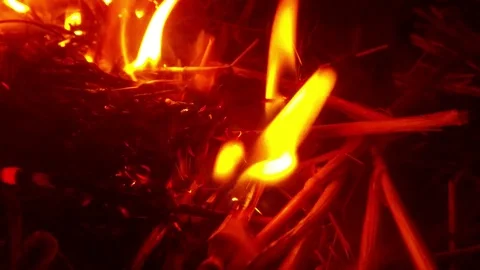 Flame Absorbing Dry Stalks in The Darkness Close up Stock Footage 74854618