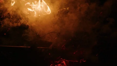 Flame alpha channel, burning bonfire Stock Footage 126199307