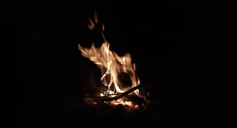Flame of Altai II Stock Footage 98148651