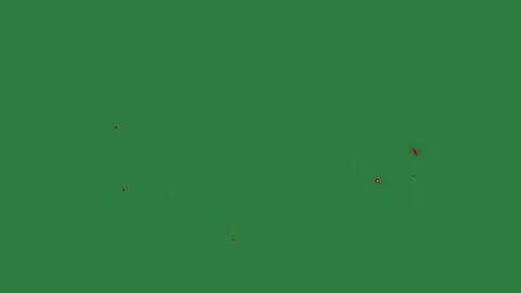 Flame Animated On Green Screen Chroma Key Background Stock Footage 338015020