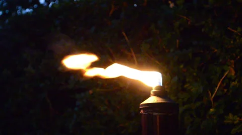 Flame on the backyard 스톡 동영상 34079855
