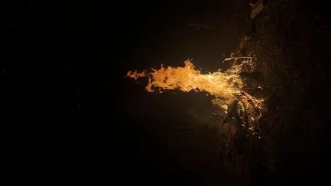 Flame on black background. Fire on black background. Isolated fire on black Stock Footage 307612160