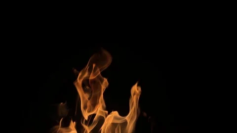 Flame on black background. Fire on black background. Isolated fire on black Stock Footage 309007321