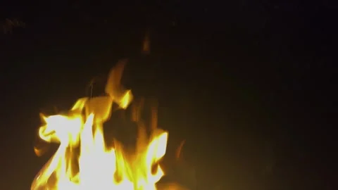 Flame on black background. Fire on black background. Isolated fire on black Stock Footage 313754350