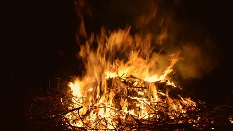 Flame of bonfire Video stock 102321162