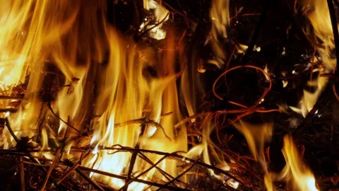 The flame of a burning fire with sparks Stock Footage 268451055