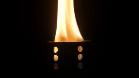 Flame of a burning torch. In the dark. The moth falls into the fire. Stock Footage 97768725