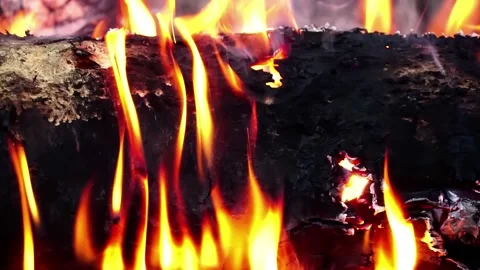 Flame is burning wood. Stock Footage 146804706