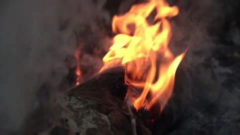 Flame is burning wood. Stock Footage 146842126
